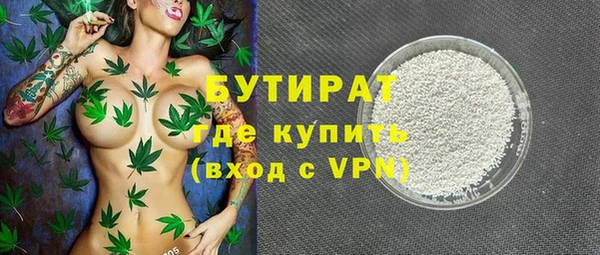 шишки Покачи