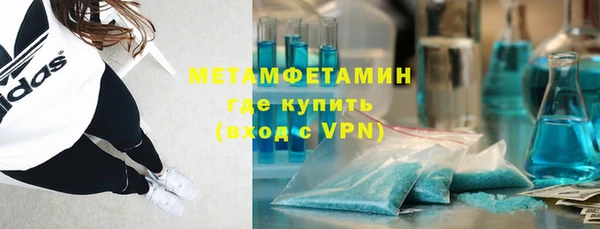 шишки Покачи