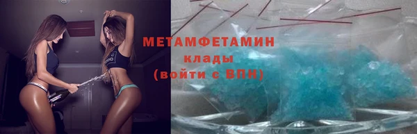 прущие грибы Покровск