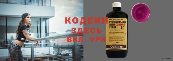 шишки Покачи
