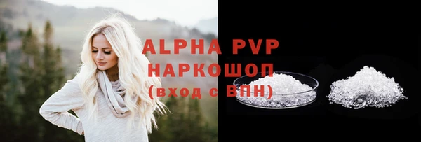 шишки Покачи