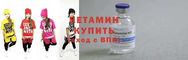 шишки Покачи