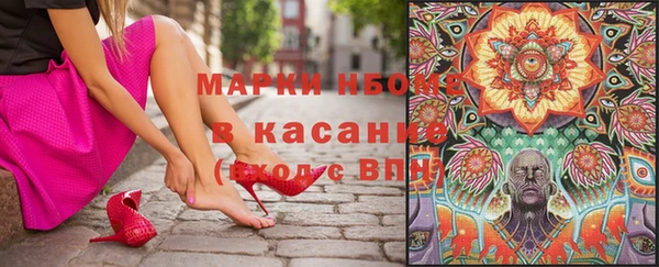 прущие грибы Покровск