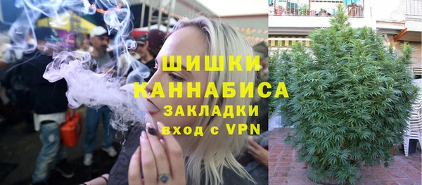 шишки Покачи