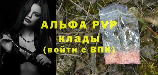 прущие грибы Покровск