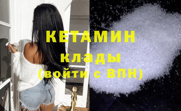 шишки Покачи