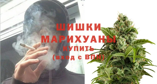 шишки Покачи