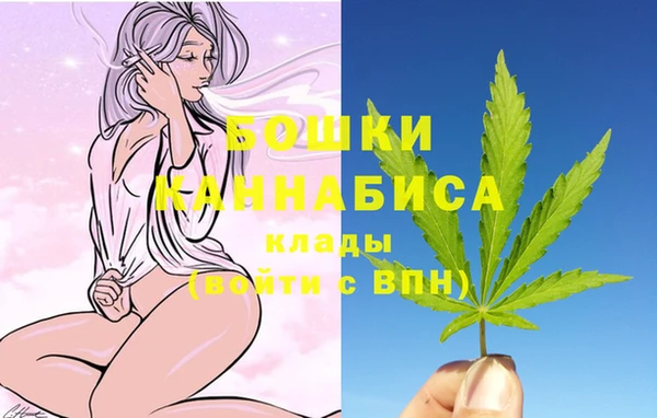 шишки Покачи