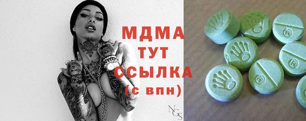 шишки Покачи