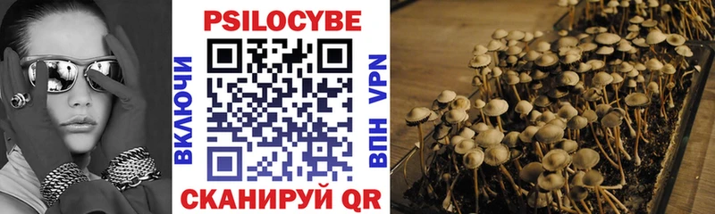 сколько стоит  Аткарск  Псилоцибиновые грибы Psilocybine cubensis 