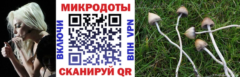 Галлюциногенные грибы прущие грибы Аткарск