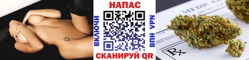 Бошки Шишки SATIVA & INDICA  как найти наркотики  Аткарск 